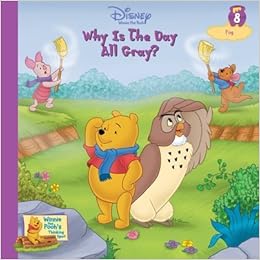 couverture de : Why is the day all gray ?