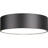 Z-Lite 4 Light Flush Mount 2302F4-BRZ