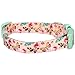 Blueberry Pet 11 Patterns Spring Scent Inspired Rose and Butterfly Print Pastel Pink Adjustable Dog Collar, Small, Neck 12
