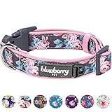 Blueberry Pet 6 Patterns Soft & Comfy Welcoming Spring Rose Flower Prints Girly Padded Dog Collar, Medium, Neck 14.5"-20", Adjustable Collars for Dogs