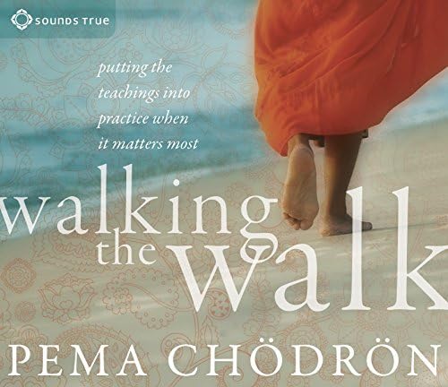 Walking the Walk: Putting the Teachings into Practice When it Matters Most Audio CD – Audiobook, 19 Sept. 2014