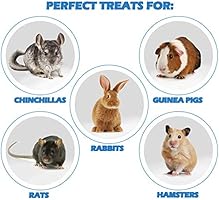 best rabbit treats