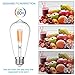 LEDERA ST64 Vintage LED Edison Bulbs Dimmable, Equivalent 60W, Warm White 2700K, Antique LED Filament Bulbs,E26 Medium Base, 600lm, 2700K Warm White, Clear Glass (6-Pack)