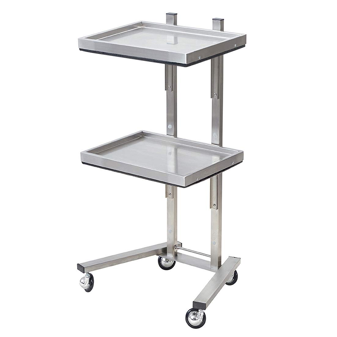 Rolling Tool Cart With Double Storage Tray, Stainless Steel