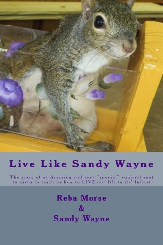 Live Like Sandy Wayne: The story of an Amazing and very "special" squirrel sent to earth to teach us
