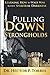 Pulling Down Strongholds: Learning How to Wage War Against Spiritual Darkness by Dr. Hector P. Torres