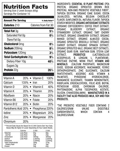 Designer Protein Essential 10, Belgian Chocolate, 1.32 Pound, Plant Based Meal Replacement Protein Powder