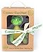 Cosmo the Dino Baby Natural Teether Toy by Pijio with Free Downloadable Coloring Book- Best Amazon Baby Registry Gift - Developmental Teething Toy