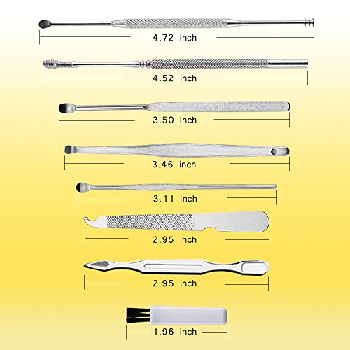 Stainless Ear Pick Cleaner Ear Scope,Earwax Removal Cleaner with Storage Box - Ear Wax Remover fit
