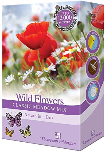 Wild Meadow Flower Garden Plants Seed Grow Your Own Cornflower, Grasses & Buttercups 1 x 15g Mixed Pack by Thompson & Morgan
