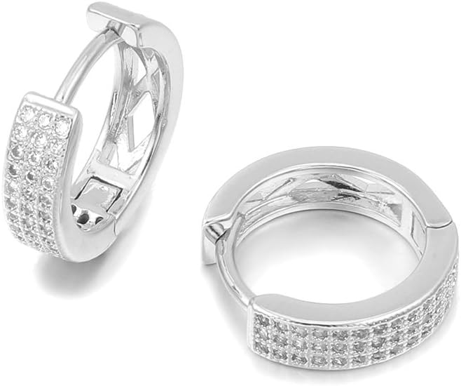 Hoop Earring for Women,Silver Earrings Girls Gold Dangle Earrings Stainless Steel Earring with CZ Crystal