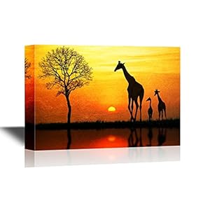 African Savanna Sunset Giraffe Family on African Savannah