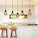 LITFAD Industrial Set of Cage Haning Lighting Fixture Rustic Barn Metal Chandelier Max 200w with 5 Cage Lights Black Finish,Vintage Creative Pendant Light