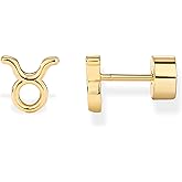 PAVOI 14K Gold Plated 925 Sterling Silver Posts Zodiac Sign Flat Back Earring Studs | Birthday Gift for Women | Astrology Earring Pair