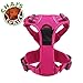 Chai's Choice Dog Harness Vest Medium (Fuchsia) | Comfortable & Secure with Adjustable Strap Soft Padded Dog Vest | No-Choke & Easy Control Pet Oxford | 3M Reflective Stripes for Dog Visibility