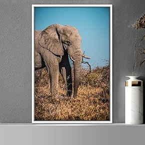 signwin Framed Canvas Wall Art Elephants Animals Dramatic...