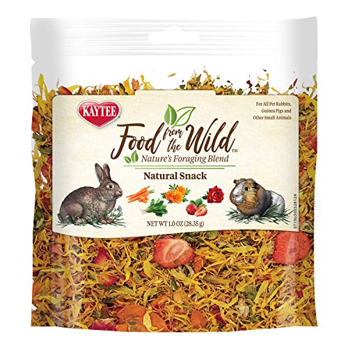 Kaytee Food from the Wild Snack
