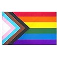 Progress Pride Rainbow Flag 3x5 ft LGBTQ Gay Pride Flags All Inlcusive Progressive Bisexual Non Binary Lesbian Transgender Fl