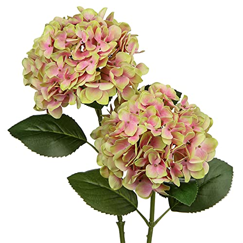Fake Hydrangeas Real Touch Hydrangea Flowers 24.8