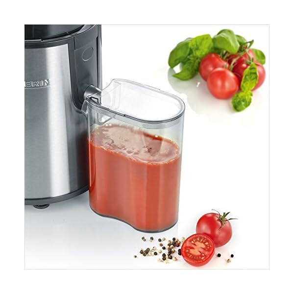 Severin Multi-Purpose Electric Juicer with 400 W of Power ES 3566, Brushed Stainless Steel-Black