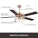 RainierLight Ceiling Fan Lamp 52 Inch 5 Wood Blades LED Dimmable Light(Yellow,Warm,White Light) Remote Control for Indoor/Bedroom/Living Room Mute Energy Saving Fan Home Decoration