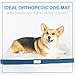 Simmons Beautyrest Thera Bed Orthopedic Memory Foam Dog Bed and Kennel / Crate Mat