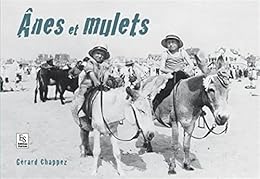 Ânes et mulets