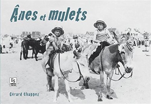 Ânes et mulets