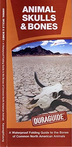 Animal Skulls & Bones: A Waterproof Pocket Guide to the Bones of Common North American Animals (Duraguide Series)