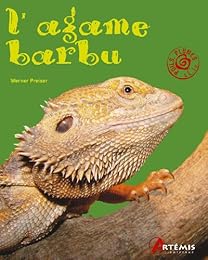 L' agame barbu