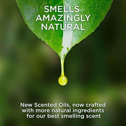 Air Wick Plug in Scented Oil, Woodland Mystique, Fall scent, Fall spray