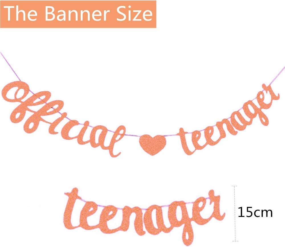 Luxurious 13th Birthday Decoration Banner - OMG UR A TEENAGER