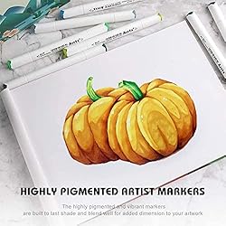 Arrtx Alcohol Markers ALP 80 Colors,Dual Tips