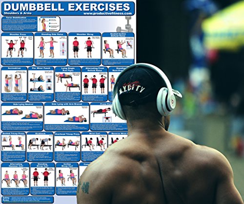 Laminated Dumbbell Exercise Poster/Chart - Shoulders and Arms - Created by Fitness Experts with University Degrees in Exercise Physiology etc. - ... - Fitness Poster - Dumbbell Workout Chart