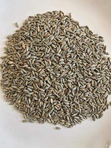 Malted-Rye-for-Moonshine-Whiskey-by-North-Georgia-Still-Company-1-lbs