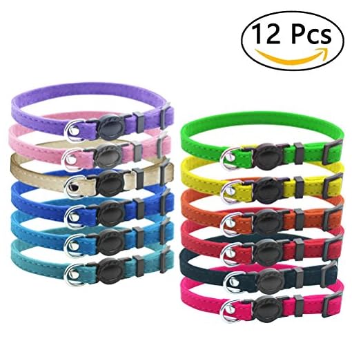 collars for litter of puppies