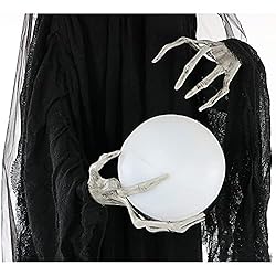 Haunted Hill Farm HHWITCH-2FL Life-Size Animated