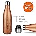 Water Bottle - Vacuum Insulated Water Bottle | Leak Proof No Sweating, 17 or 30 Oz