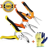 Wevove 3 Pack Garden Pruning Shears Stainless Steel Blades Handheld Pruners Set with Gardening Gloves