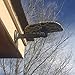 SOLIOM Wireless Outdoor Solar Battery Security Camera, 1080P HD WiFi Home Surveillance Camera, Black