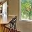 wall26 Window Film for Privacy Color Tree Large Decorative Glass Sticker for Office Home Meeting Room Bathroom Self Adhesive Anti UV Removable Flims - 40x30 inches