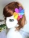 DreamLily Women's Fashion 3 Pcs Hawaiian White Plumeria Flower Foam Hair Clip Balaclavas for Beach (Cosmos(1 Piece))