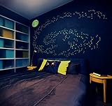 Glow in the Dark Star Decals: Pack of 530 3-D Doomed Stars Plus Moon- Create a Universe on your Ceiling, Make an Out of this World Playroom-Bedroom-Media Room, by Galactic Gear