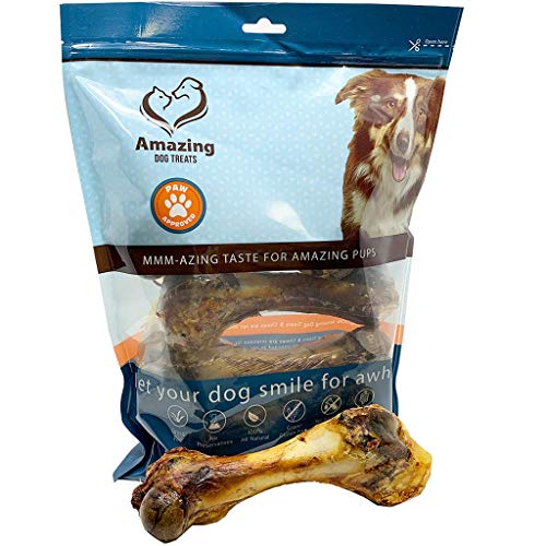 68 Inch Meaty Pork Femur Ham Bone (3 Count) Made in USA Large Bone