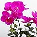 YILIYAJIA Artificial Flowers Orchids Table Decor Faux Flowers Arrangement with Vase Rustic Shelves Centerpieces Floral Decorations Realistic Phalaenopsis for Home Office Hotel Room
