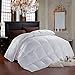 The Great American Stores's Room Essentials - Down Alternative Comforter (White, Full/Queen) - Quilted Comforter Hypoallergenic, Siliconized Fiberfill Duvet Insert - Baffle Box Stitched RN# 148186