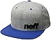 neff Daily Flat Billed Adjustable Snapback Hat