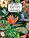 Livre Journal Recettes Dépenses: A4 -Â 106 pages - Plantes et Cactus - couverture souple glossy - AutoEntrepreneur - Budget - micro BIC - micro BNC (French Edition) by AEStark