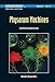PHYSARUM MACHINES: COMPUTERS FROM SLIME MOULD (World Scientific Nonlinear Science Series a)