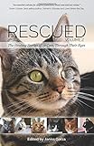 Rescued Volume 2: The Healing Stories of 12 Cats, Through Their Eyes